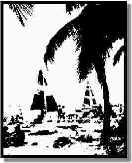 IN HAWAII, IS EVERYTHING REALLY BLACK AND WHITE?
