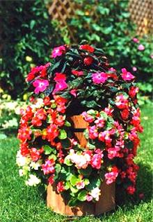 Another vase of mine.
