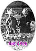 Violet and Viola